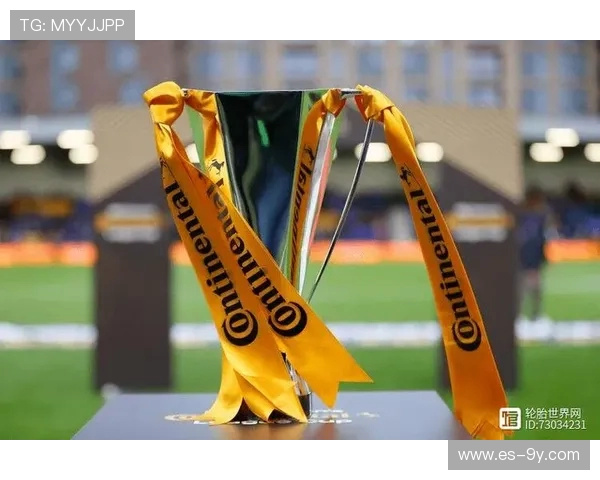 创新足球花轮胎推荐让您的比赛更精彩提升场地性能与运动体验