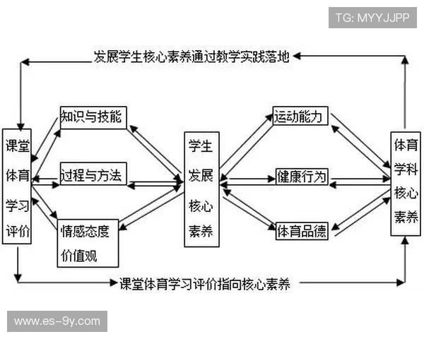 围绕足球裁判专业方向与课程构成的全面解析与发展探讨趋势研究视角
