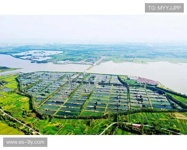 围绕绿地鱼塘足球场地址打造城市休闲体育融合发展新区域蓝图愿景